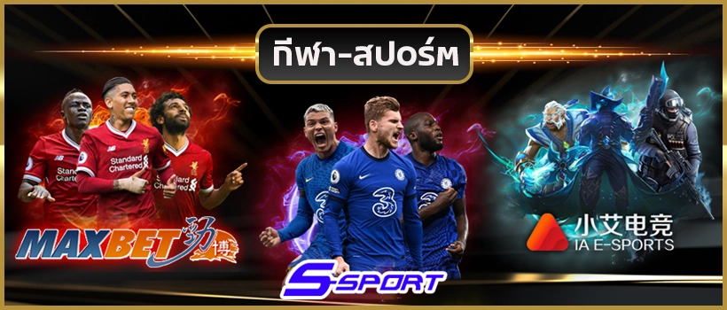  kamo79 banner-sport